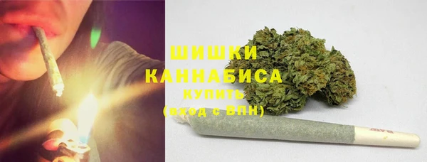 индика Нефтегорск